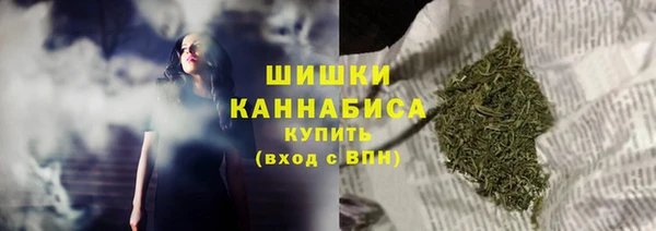 гашик Снежногорск