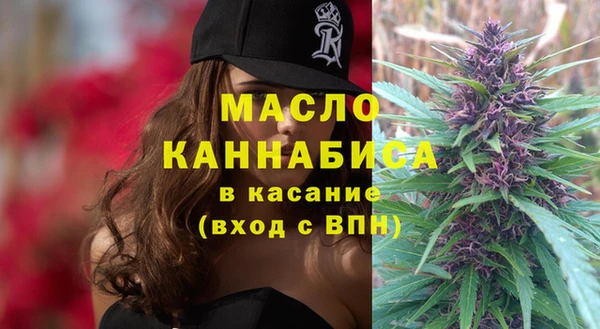 гашик Снежногорск