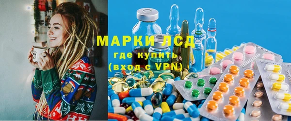 спайс Баксан