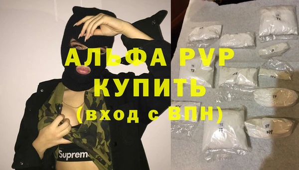 спайс Баксан